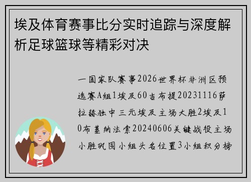 埃及体育赛事比分实时追踪与深度解析足球篮球等精彩对决